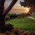 The view from Wayfare Chapel in Palos Verdes